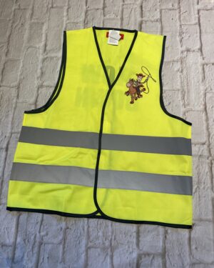 Toy Story Hi Viz Vest